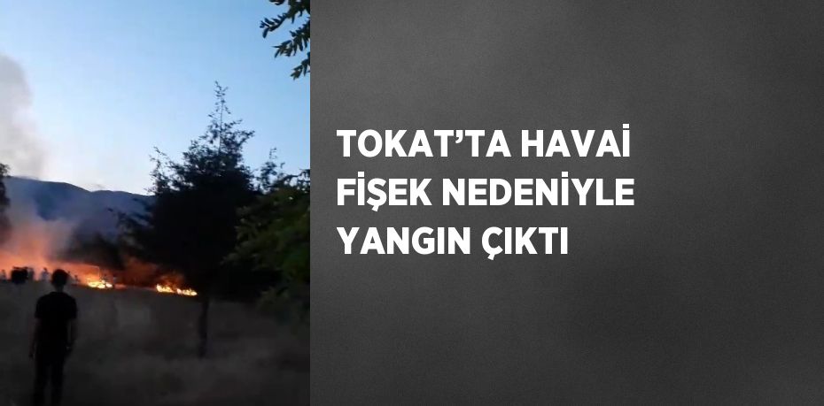 TOKAT’TA HAVAİ FİŞEK NEDENİYLE YANGIN ÇIKTI