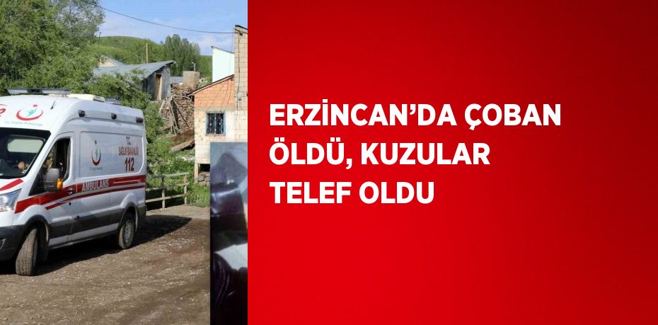 ERZİNCAN’DA ÇOBAN ÖLDÜ, KUZULAR TELEF OLDU