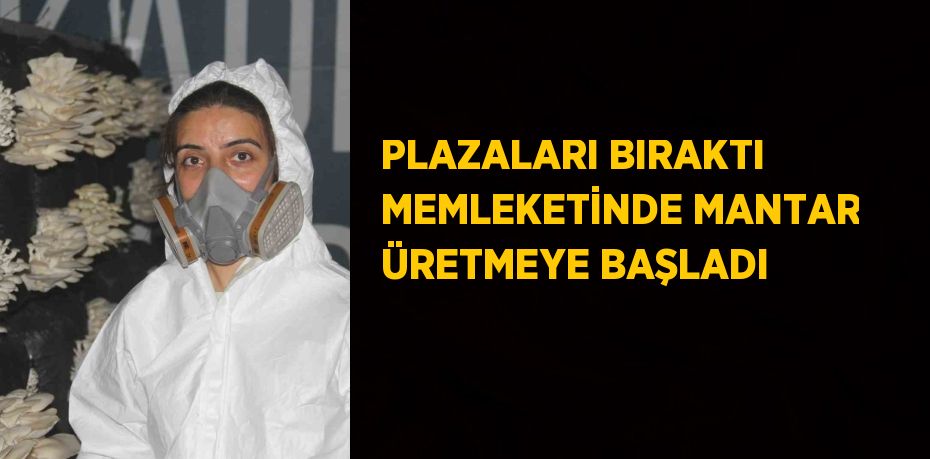 PLAZALARI BIRAKTI MEMLEKETİNDE MANTAR ÜRETMEYE BAŞLADI