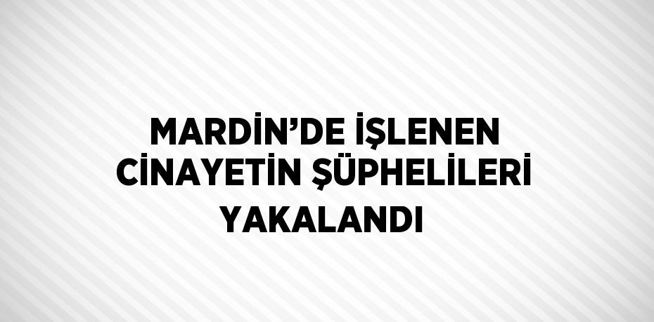 MARDİN’DE İŞLENEN CİNAYETİN ŞÜPHELİLERİ YAKALANDI