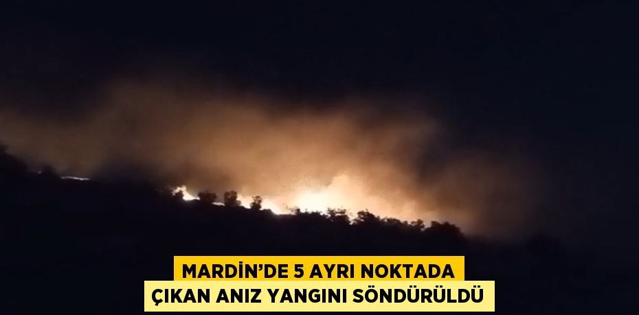 MARDİN’DE 5 AYRI NOKTADA ÇIKAN ANIZ YANGINI SÖNDÜRÜLDÜ