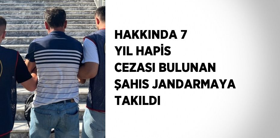 HAKKINDA 7 YIL HAPİS CEZASI BULUNAN ŞAHIS JANDARMAYA TAKILDI