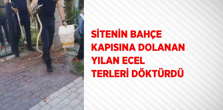 SİTENİN BAHÇE KAPISINA DOLANAN YILAN ECEL TERLERİ DÖKTÜRDÜ