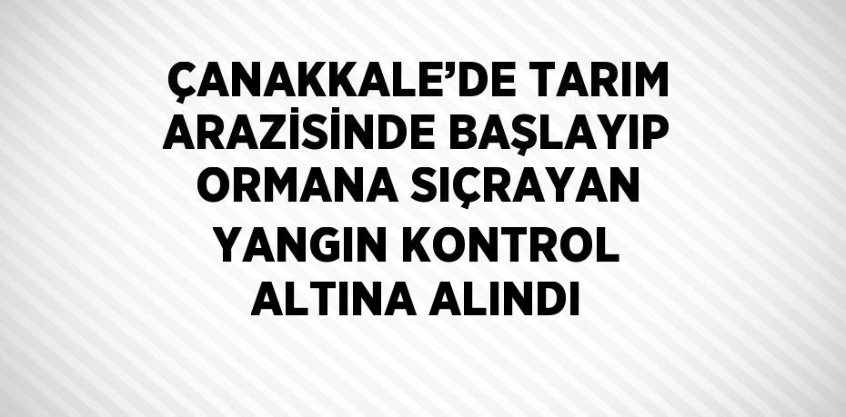 ÇANAKKALE’DE TARIM ARAZİSİNDE BAŞLAYIP ORMANA SIÇRAYAN YANGIN KONTROL ALTINA ALINDI