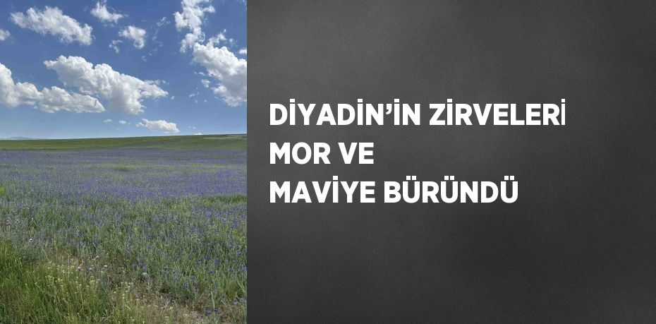 DİYADİN’İN ZİRVELERİ MOR VE MAVİYE BÜRÜNDÜ