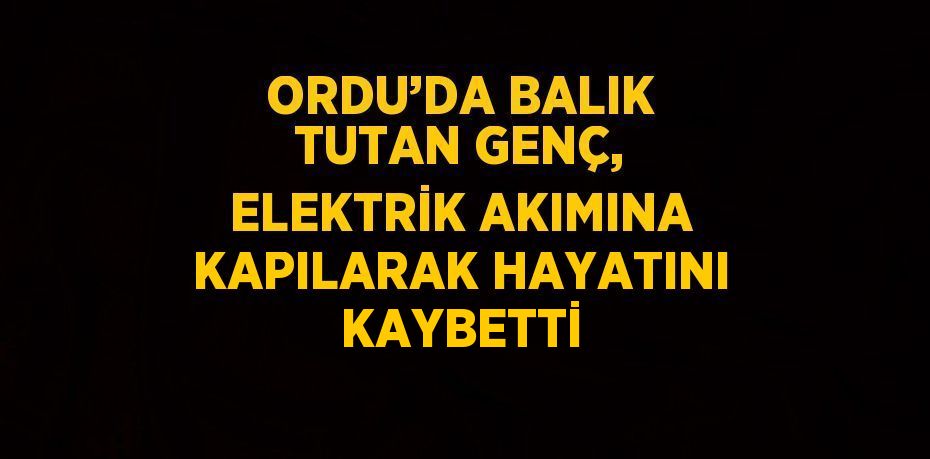 ORDU’DA BALIK TUTAN GENÇ, ELEKTRİK AKIMINA KAPILARAK HAYATINI KAYBETTİ