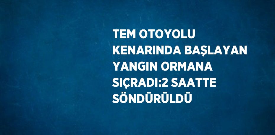 TEM OTOYOLU KENARINDA BAŞLAYAN YANGIN ORMANA SIÇRADI:2 SAATTE SÖNDÜRÜLDÜ