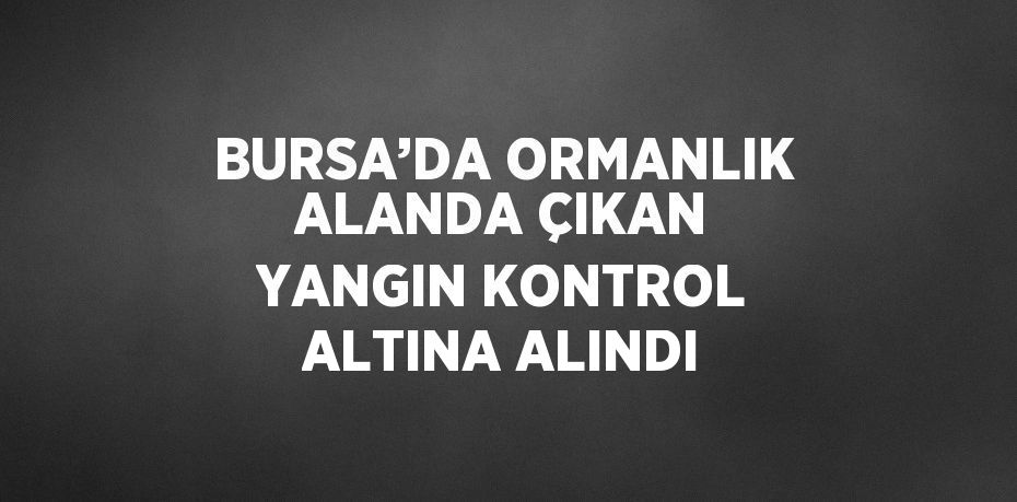 BURSA’DA ORMANLIK ALANDA ÇIKAN YANGIN KONTROL ALTINA ALINDI