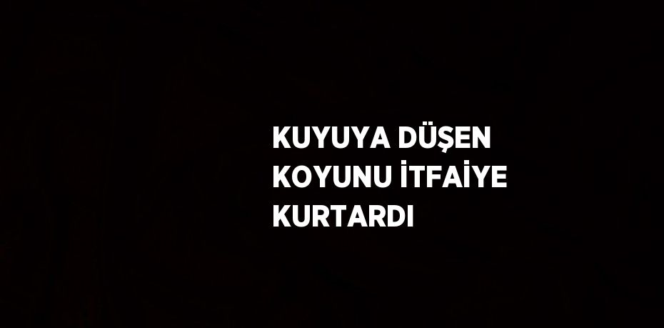 KUYUYA DÜŞEN KOYUNU İTFAİYE KURTARDI