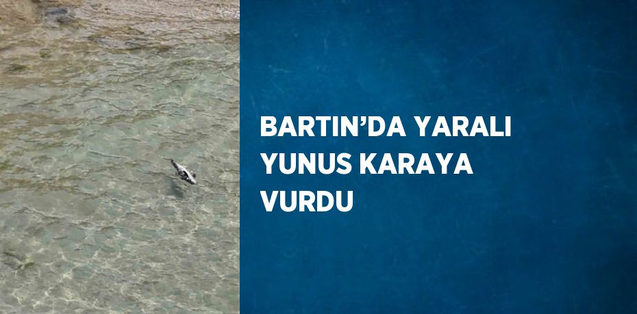 BARTIN’DA YARALI YUNUS KARAYA VURDU