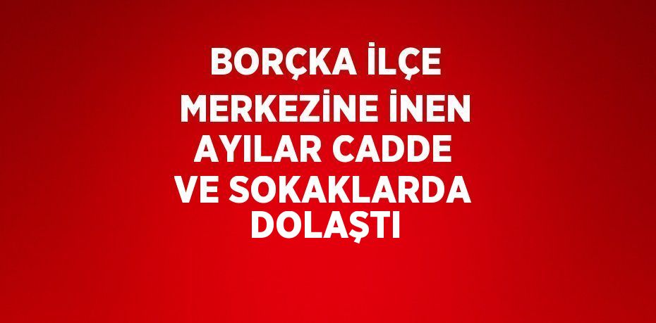BORÇKA İLÇE MERKEZİNE İNEN AYILAR CADDE VE SOKAKLARDA DOLAŞTI