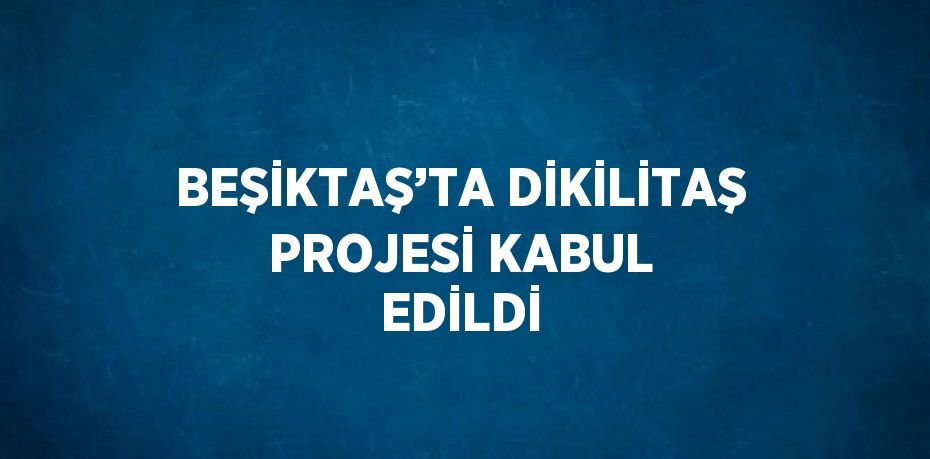BEŞİKTAŞ’TA DİKİLİTAŞ PROJESİ KABUL EDİLDİ