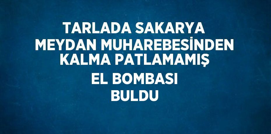 TARLADA SAKARYA MEYDAN MUHAREBESİNDEN KALMA PATLAMAMIŞ EL BOMBASI BULDU