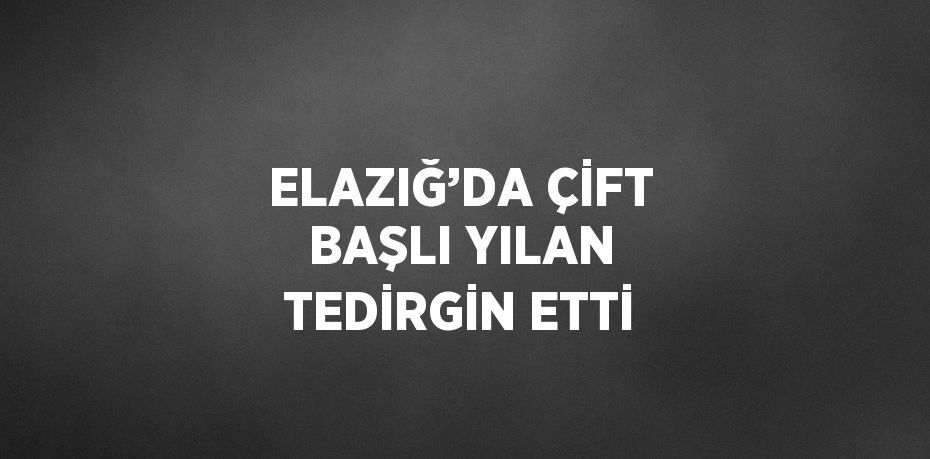 ELAZIĞ’DA ÇİFT BAŞLI YILAN TEDİRGİN ETTİ