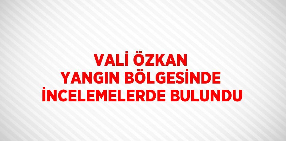 VALİ ÖZKAN YANGIN BÖLGESİNDE İNCELEMELERDE BULUNDU