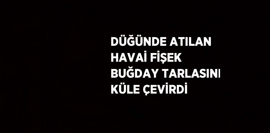 DÜĞÜNDE ATILAN HAVAİ FİŞEK BUĞDAY TARLASINI KÜLE ÇEVİRDİ