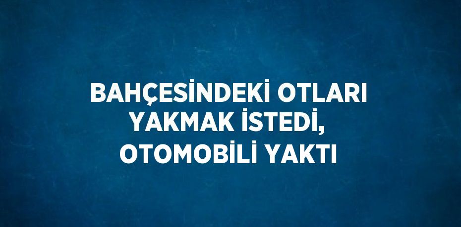 BAHÇESİNDEKİ OTLARI YAKMAK İSTEDİ, OTOMOBİLİ YAKTI