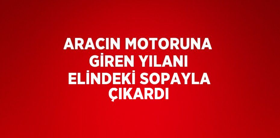 ARACIN MOTORUNA GİREN YILANI ELİNDEKİ SOPAYLA ÇIKARDI