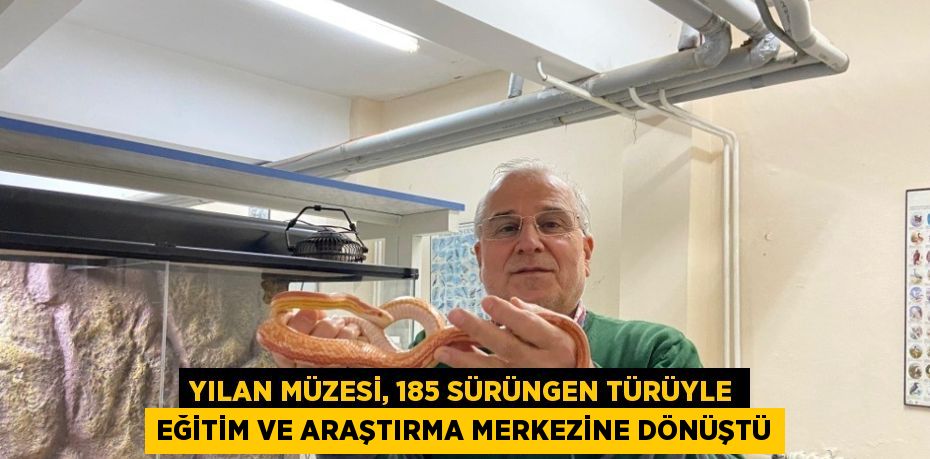 YILAN MÜZESİ, 185 SÜRÜNGEN TÜRÜYLE EĞİTİM VE ARAŞTIRMA MERKEZİNE DÖNÜŞTÜ