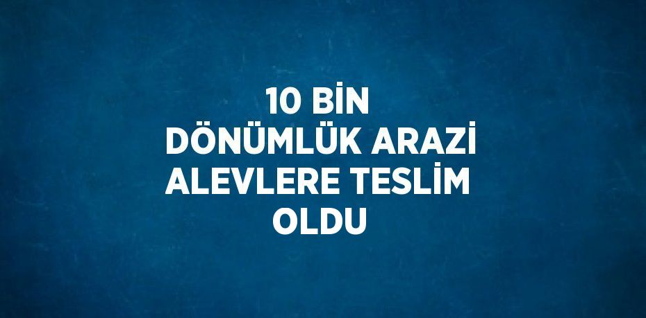 10 BİN DÖNÜMLÜK ARAZİ ALEVLERE TESLİM OLDU