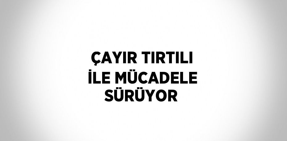 ÇAYIR TIRTILI İLE MÜCADELE SÜRÜYOR