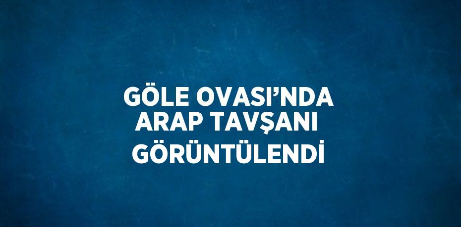 GÖLE OVASI’NDA ARAP TAVŞANI GÖRÜNTÜLENDİ