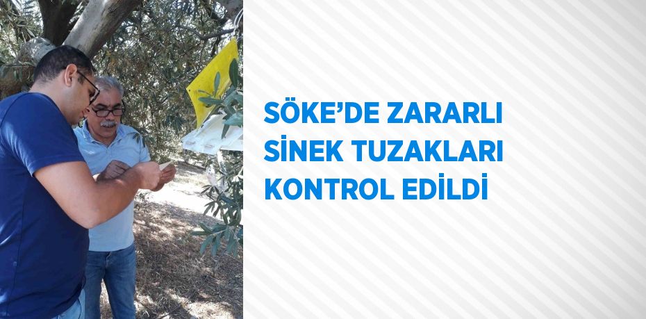 SÖKE’DE ZARARLI SİNEK TUZAKLARI KONTROL EDİLDİ