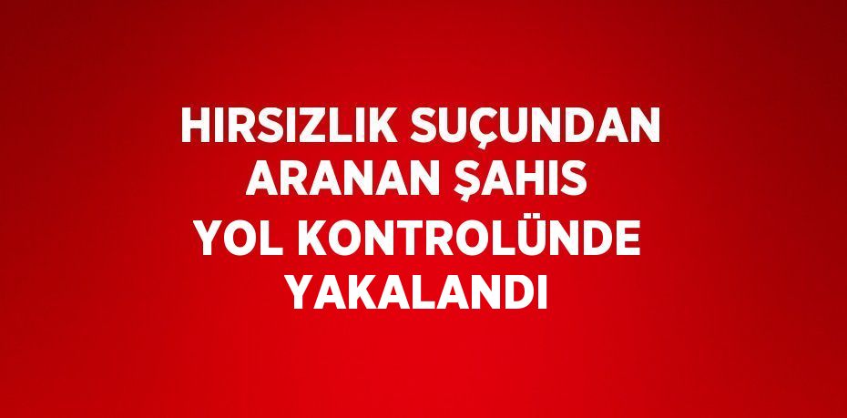 HIRSIZLIK SUÇUNDAN ARANAN ŞAHIS YOL KONTROLÜNDE YAKALANDI