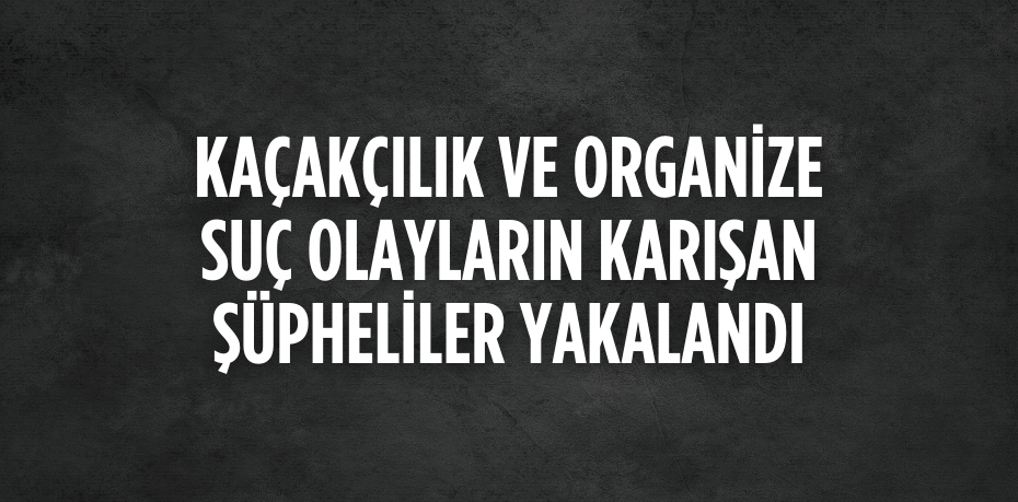 KAÇAKÇILIK VE ORGANİZE SUÇ OLAYLARIN KARIŞAN ŞÜPHELİLER YAKALANDI