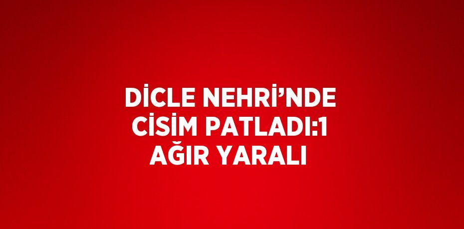 DİCLE NEHRİ’NDE CİSİM PATLADI:1 AĞIR YARALI