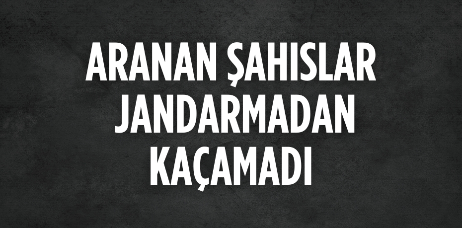 ARANAN ŞAHISLAR JANDARMADAN KAÇAMADI