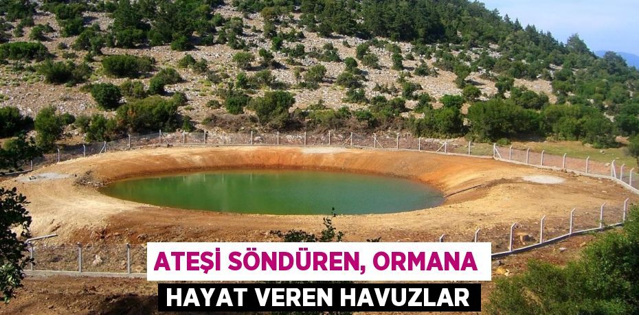 ATEŞİ SÖNDÜREN, ORMANA HAYAT VEREN HAVUZLAR