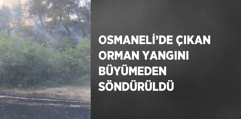 OSMANELİ’DE ÇIKAN ORMAN YANGINI BÜYÜMEDEN SÖNDÜRÜLDÜ