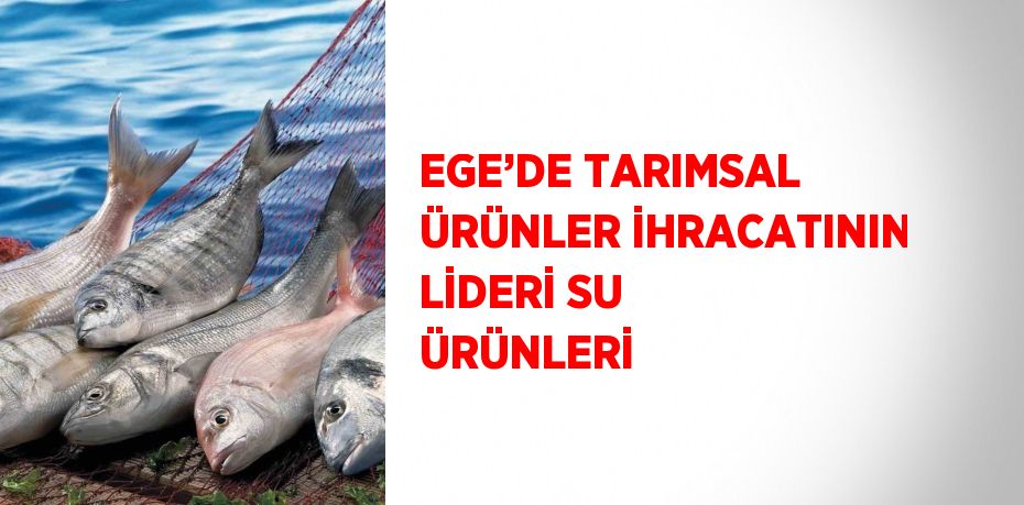 EGE’DE TARIMSAL ÜRÜNLER İHRACATININ LİDERİ SU ÜRÜNLERİ