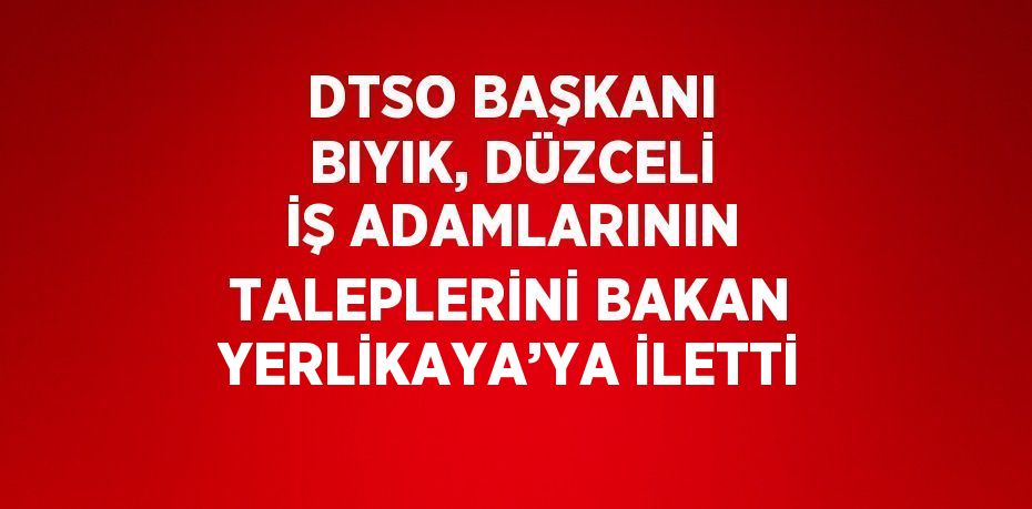 DTSO BAŞKANI BIYIK, DÜZCELİ İŞ ADAMLARININ TALEPLERİNİ BAKAN YERLİKAYA’YA İLETTİ