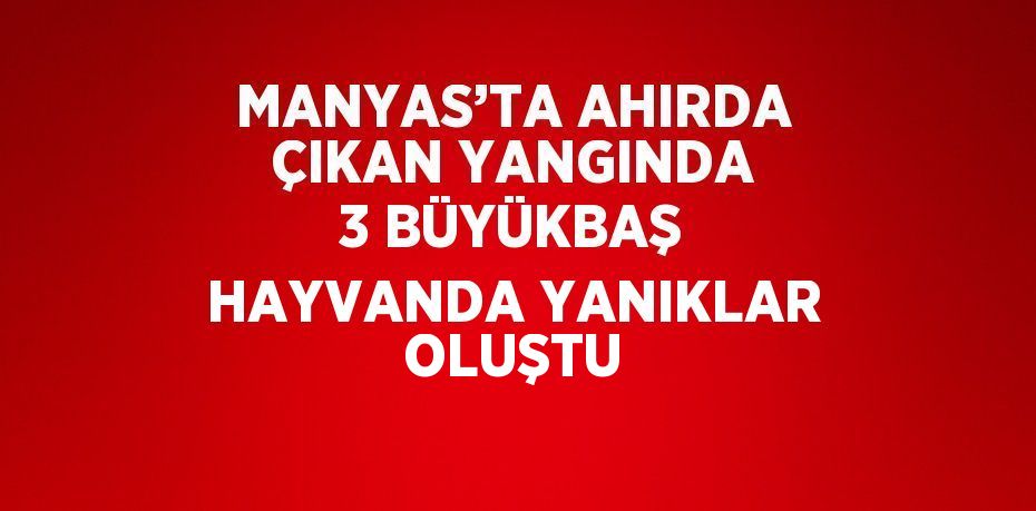 MANYAS’TA AHIRDA ÇIKAN YANGINDA 3 BÜYÜKBAŞ HAYVANDA YANIKLAR OLUŞTU