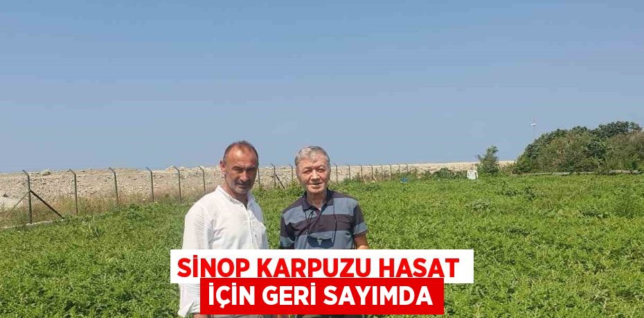 SİNOP KARPUZU HASAT İÇİN GERİ SAYIMDA