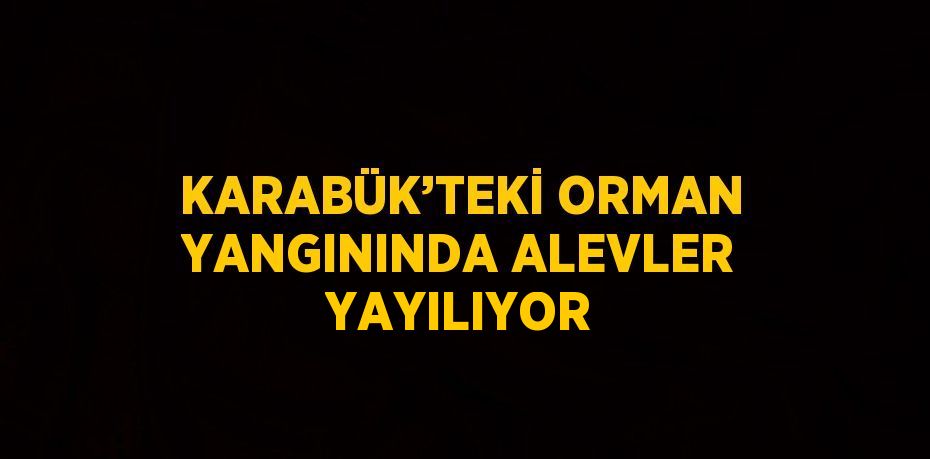 KARABÜK’TEKİ ORMAN YANGININDA ALEVLER YAYILIYOR