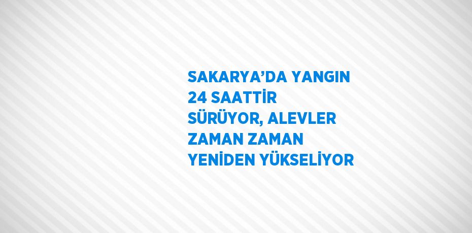 SAKARYA’DA YANGIN 24 SAATTİR SÜRÜYOR, ALEVLER ZAMAN ZAMAN YENİDEN YÜKSELİYOR