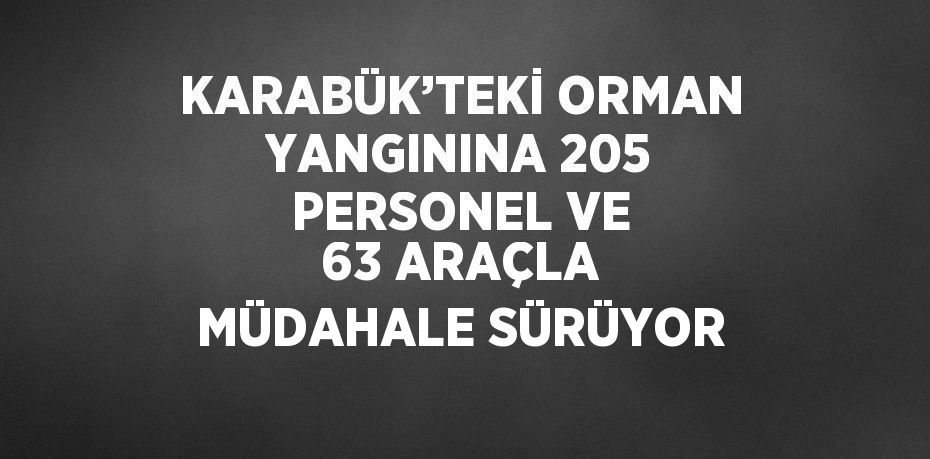 KARABÜK’TEKİ ORMAN YANGININA 205 PERSONEL VE 63 ARAÇLA MÜDAHALE SÜRÜYOR