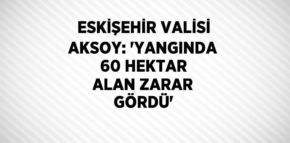 ESKİŞEHİR VALİSİ AKSOY: 'YANGINDA 60 HEKTAR ALAN ZARAR GÖRDÜ'