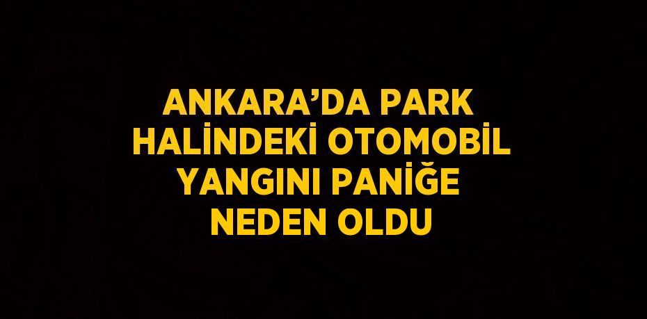 ANKARA’DA PARK HALİNDEKİ OTOMOBİL YANGINI PANİĞE NEDEN OLDU