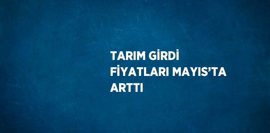 TARIM GİRDİ FİYATLARI MAYIS’TA ARTTI