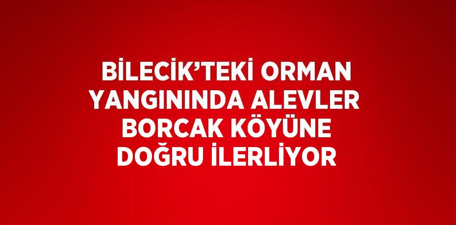 BİLECİK’TEKİ ORMAN YANGININDA ALEVLER BORCAK KÖYÜNE DOĞRU İLERLİYOR