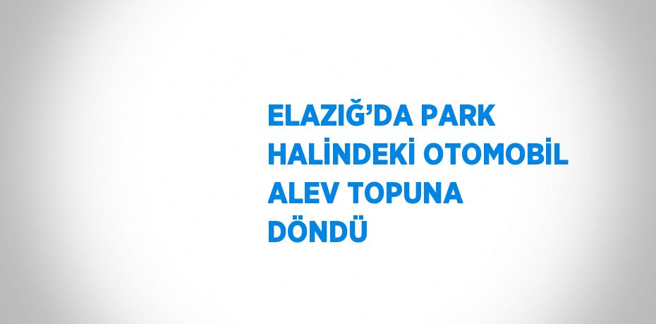 ELAZIĞ’DA PARK HALİNDEKİ OTOMOBİL ALEV TOPUNA DÖNDÜ