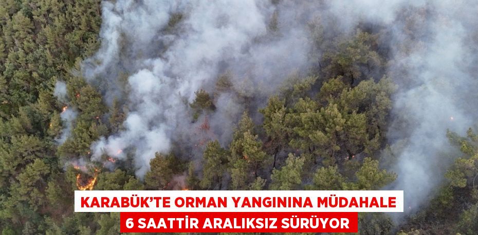 KARABÜK’TE ORMAN YANGININA MÜDAHALE 6 SAATTİR ARALIKSIZ SÜRÜYOR