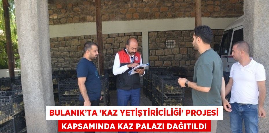 BULANIK’TA 'KAZ YETİŞTİRİCİLİĞİ' PROJESİ KAPSAMINDA KAZ PALAZI DAĞITILDI