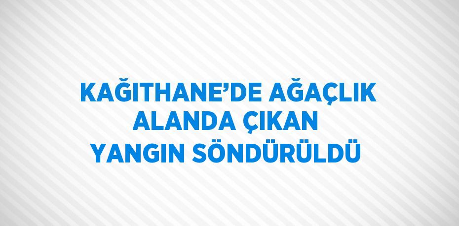 KAĞITHANE’DE AĞAÇLIK ALANDA ÇIKAN YANGIN SÖNDÜRÜLDÜ