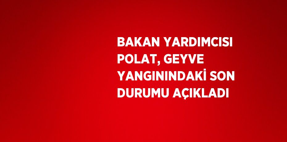 BAKAN YARDIMCISI POLAT, GEYVE YANGININDAKİ SON DURUMU AÇIKLADI