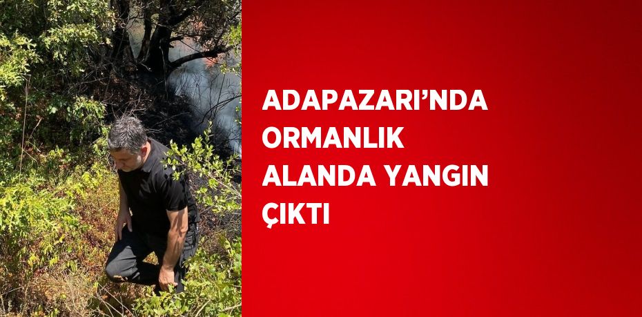 ADAPAZARI’NDA ORMANLIK ALANDA YANGIN ÇIKTI